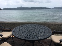台風の後もずーと強い風吹いてまーす 2017/08/10 11:24:40