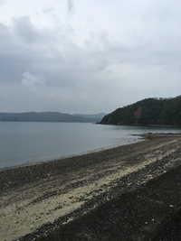 しとしとぴっちゃん 2016/03/31 14:51:01