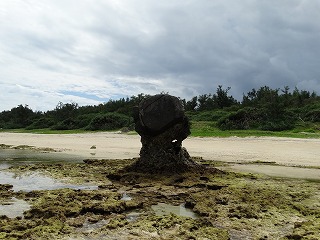 視点をかえると