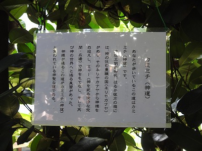 フクギ並木　カミミチ（神道）