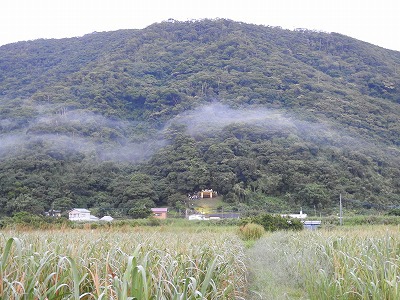 アラセツ行事　「ショチョガマ」「ヒラセマンカイ」