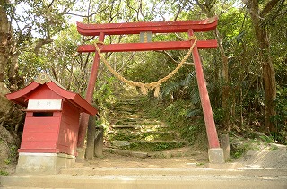 奄美大島における平家