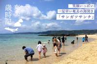 【新ブログシリーズ】奄美歳時記-3月 海開き『サンガツサンチ』