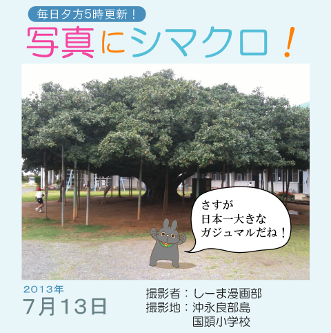 写真にシマクロ！7/13