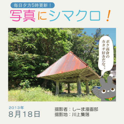 写真にシマクロ！8/18