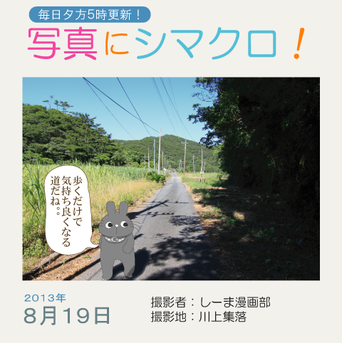 写真にシマクロ！8/19