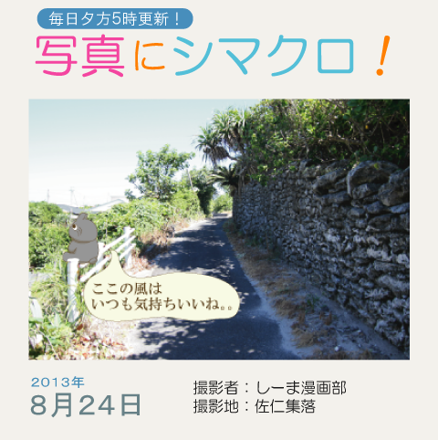 写真にシマクロ！8/24