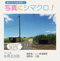 写真にシマクロ！9/23
