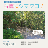 写真にシマクロ！9/26