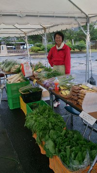 国民文化祭in宇検村