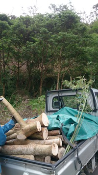 山の神様ありがとう