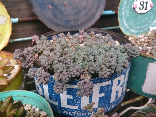 さっきの