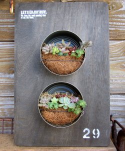 １００均＆空き缶そのままで