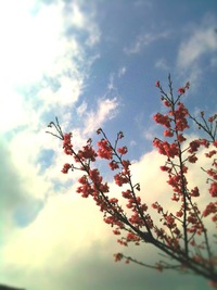 2011年02月06日