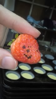 顔( ﾟー^ )