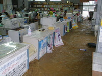 濁流にのまれて