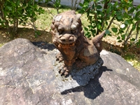 滝の園カメラマン