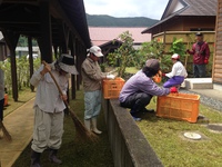 宇検食堂委託作業