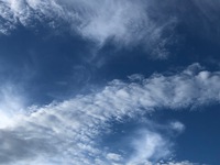 まるまる５ヶ月