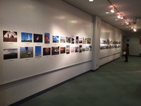 ただいま展示中
