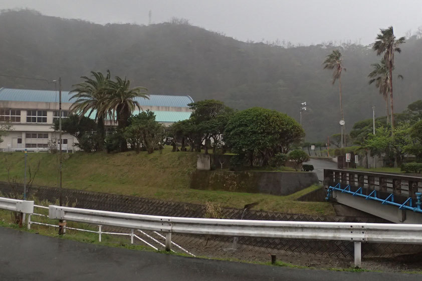 雨