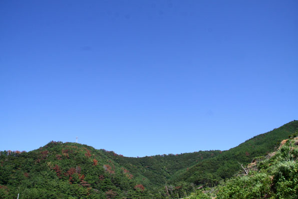 秋晴れ