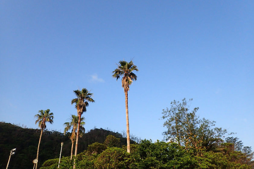 青空