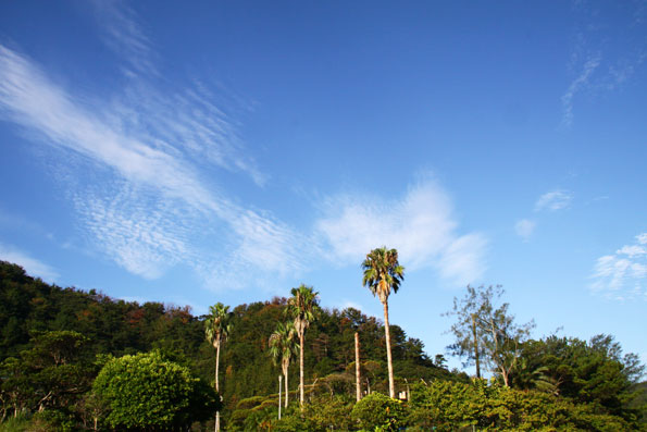 青空