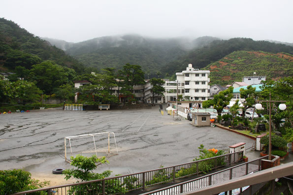 朝日小学校の松の木