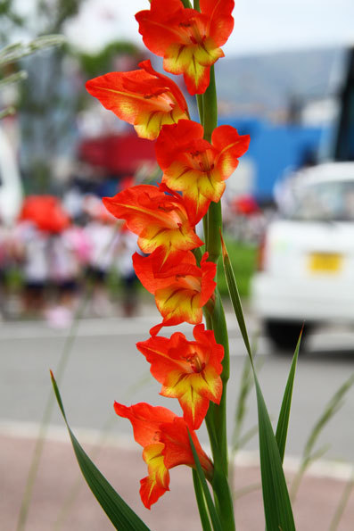 港公園