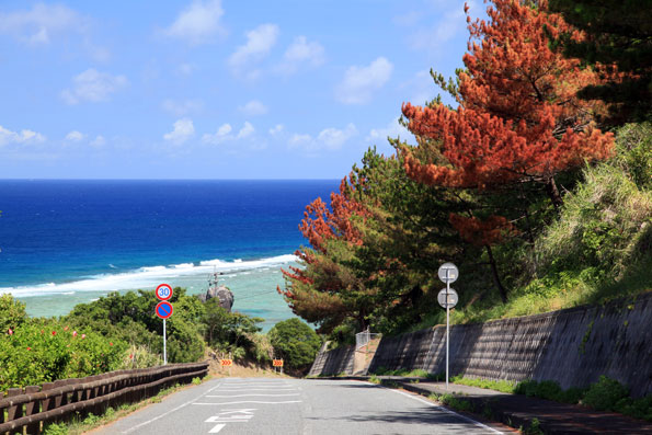 大浜紅葉かな？