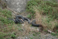 廃タイヤ不法投棄