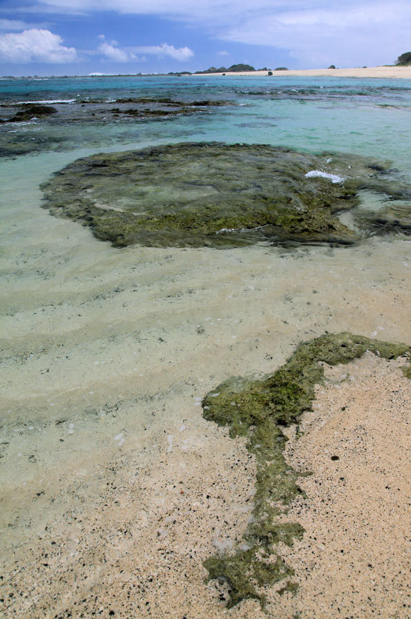 土盛海岸