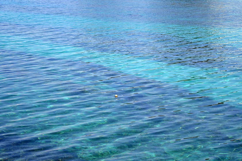 冬の海