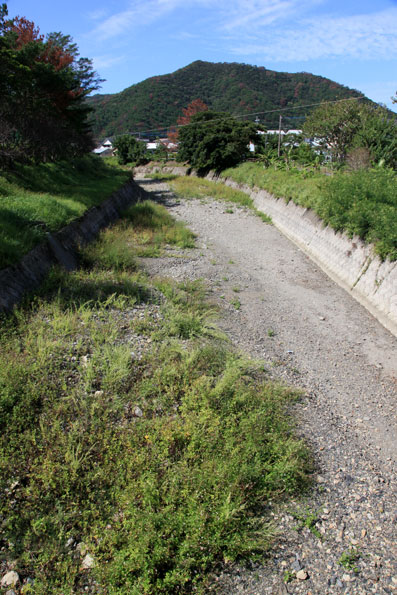 渇水の浦上川