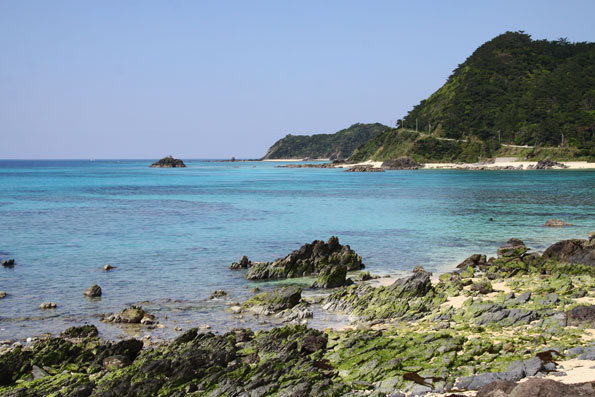 打田原海岸