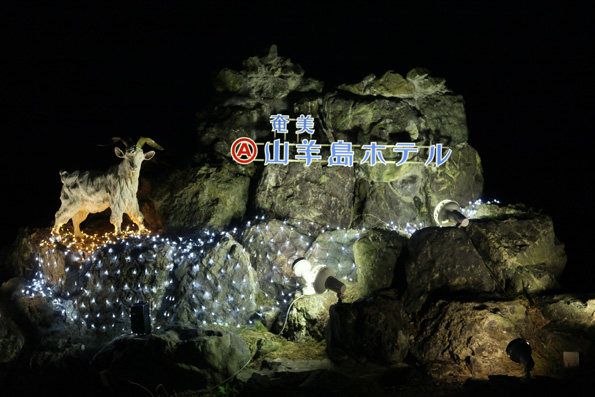 山羊島ホテル夜景
