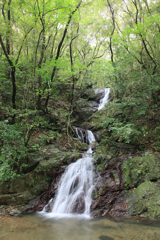 湯湾岳の麓