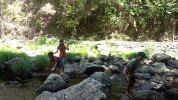 僕の夏休み、マテリア、湯湾岳