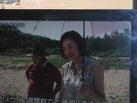 ウミガメ観察会の注意事項