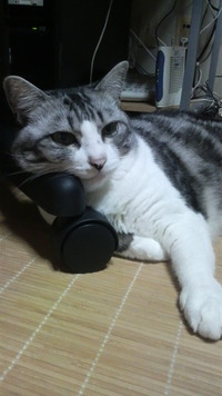 ふてくされ