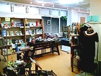 プール掃除と模様替えと