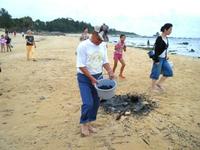 子ウミガメ放流の様子