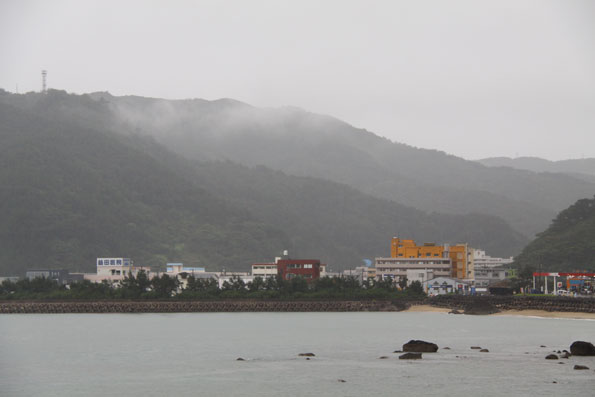 雨