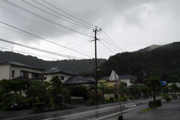 雨