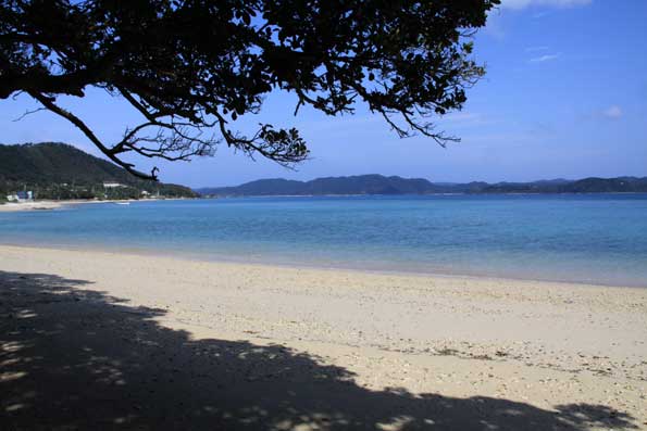 芦徳の海岸