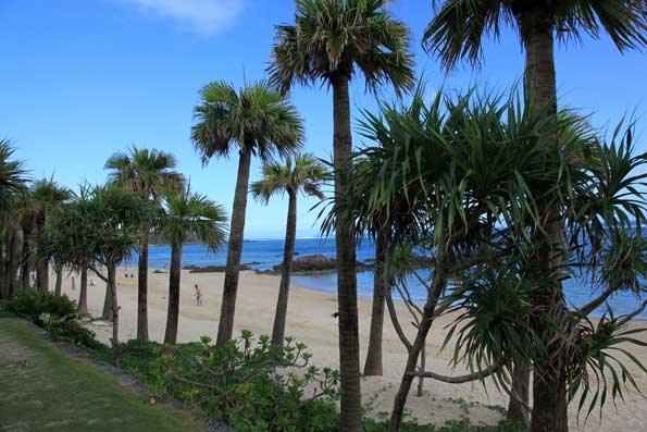 バシャ山村海岸