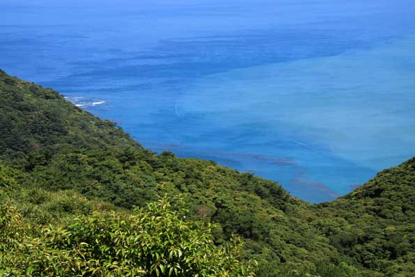 小湊の海