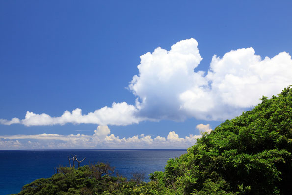 夏の雲