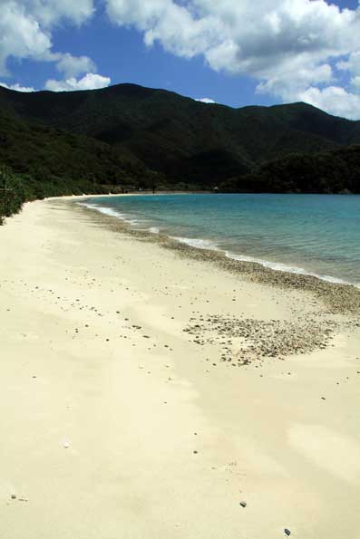 独り占めの浜